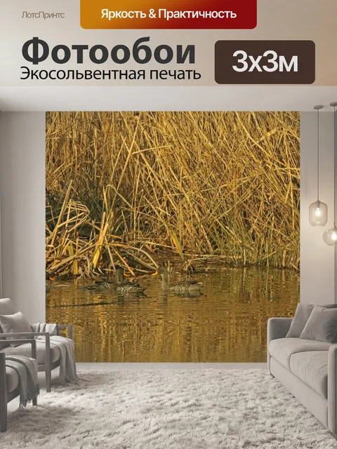 Фотообои желтые утки на воде
