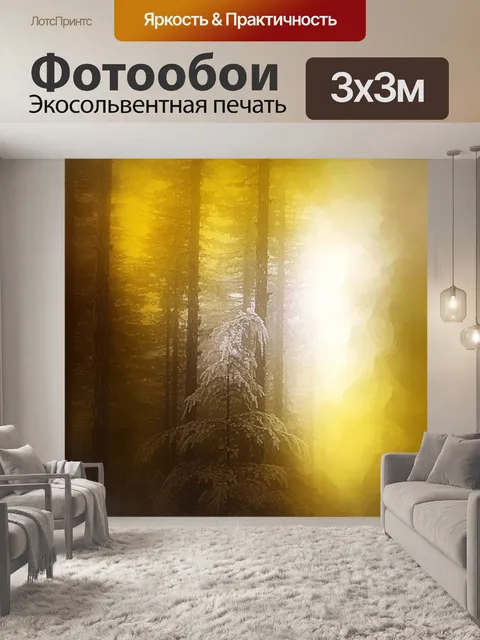 Фотообои Лес 32
