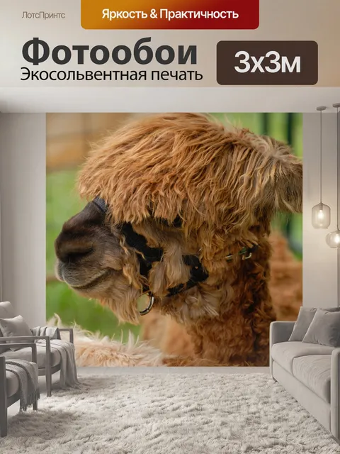 Фотообои Альпака