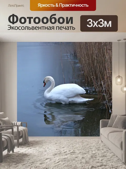 Фотообои Лебедь