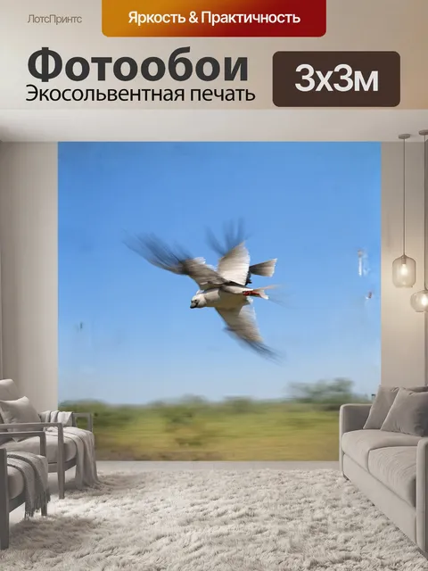 Фотообои **пастельное изображение ржанки в полете