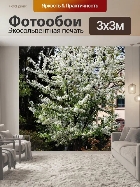 Фотообои Белое цветущее дерево в парке