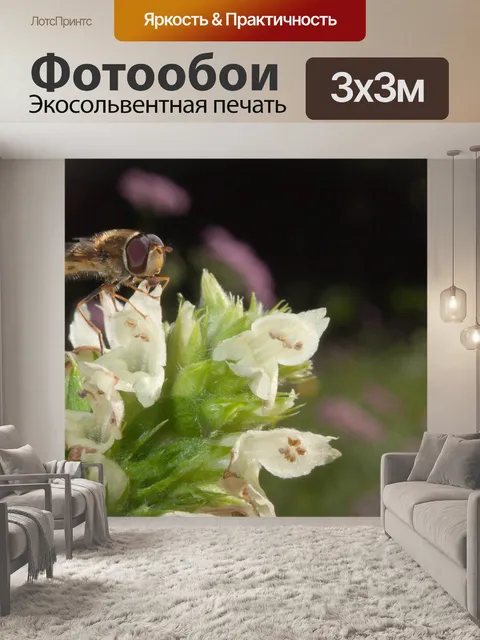 Фотообои Летать