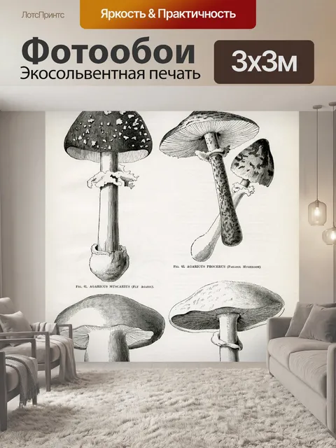 Фотообои Винтажные грибы-поганки-чемпионы