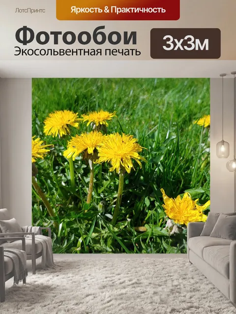 Фотообои Цветы