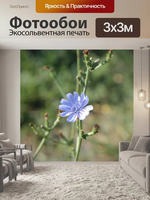 Фотообои Цветы