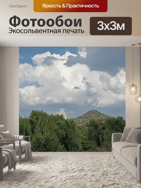 Фотообои Ивы с облаком и холмом