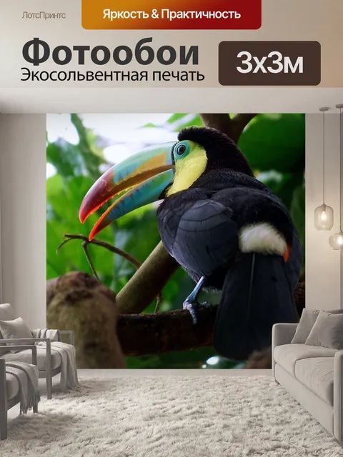 Фотообои Тукан