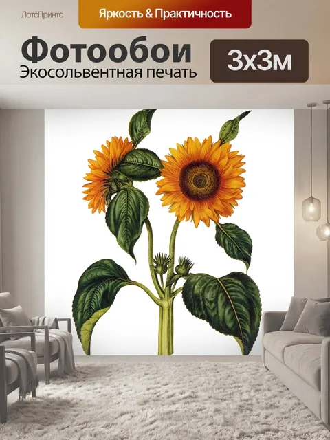 Фотообои Винтажное искусство подсолнечника