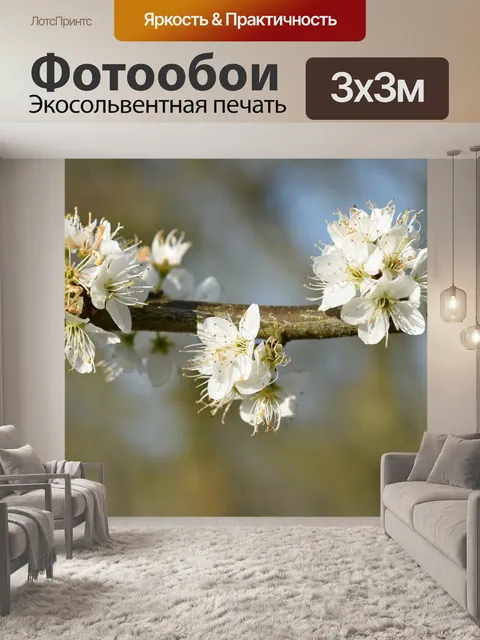 Фотообои Ветку куста с цветами
