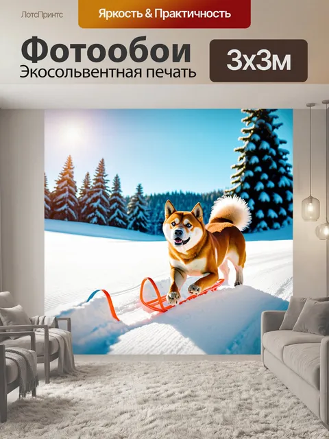 Фотообои сиба ину, катящийся с горки на санках, радостно виляя хвостом
