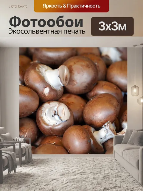 Фотообои Грибы