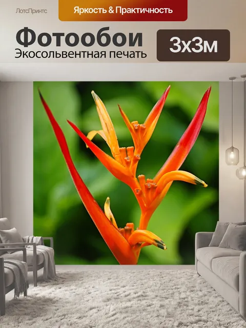 Фотообои Райская птица
