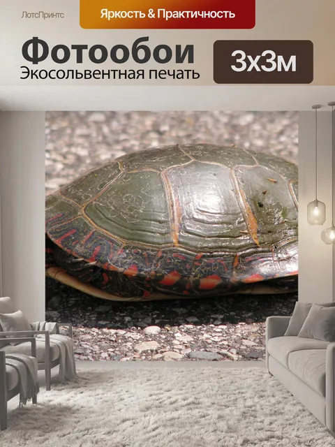 Фотообои Нарисованная черепаха