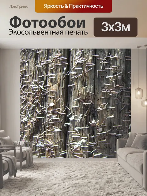 Фотообои Скобы
