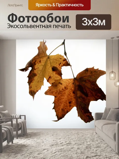 Фотообои красновато-коричневый листья на фоне неб