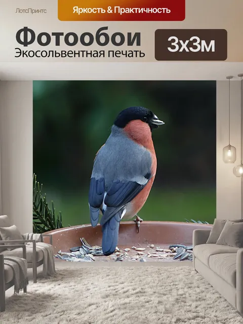 Фотообои Птица