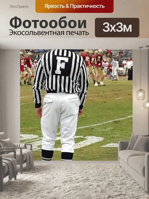 Фотообои Футбольный чиновник