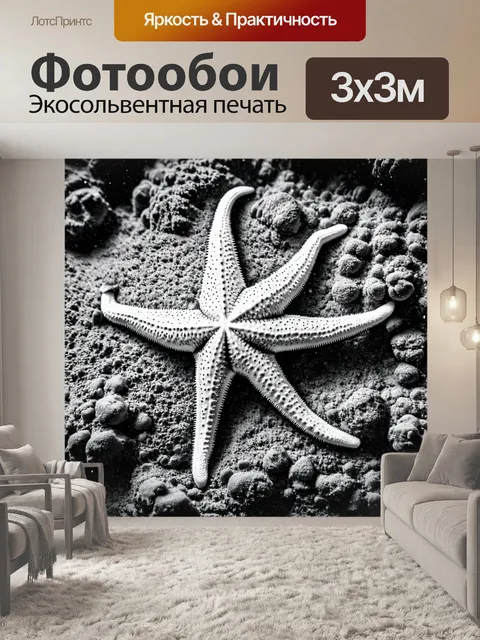 Фотообои животные в стиле черно-белый: морская звезда на дне морском с акцентом на текстуру и детали