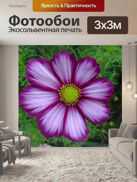 Фотообои Фиолетовый Сирень Желтый цветок