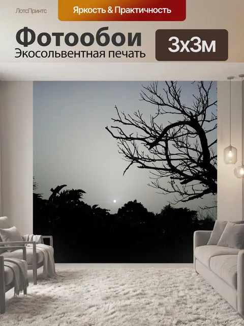 Фотообои Тьма