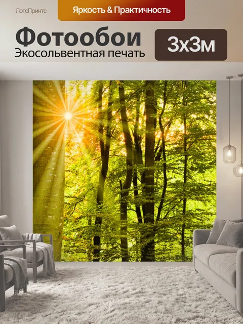 Фотообои Солнечные лучи
