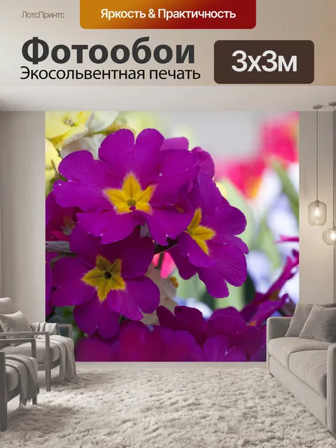 Фотообои Цветы Фиолетовый