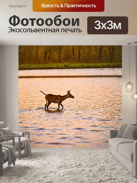 Фотообои охота на берегу реки, где вода отражает цвета заката, а животные вдруг проявляют любопытство