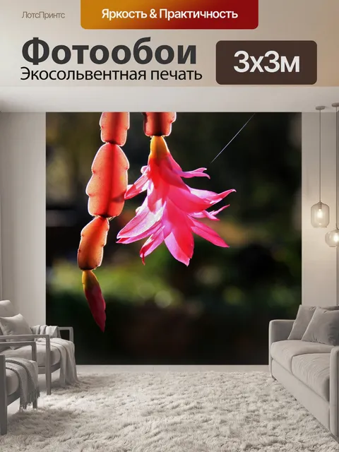 Фотообои розовый краб цветок кактуса