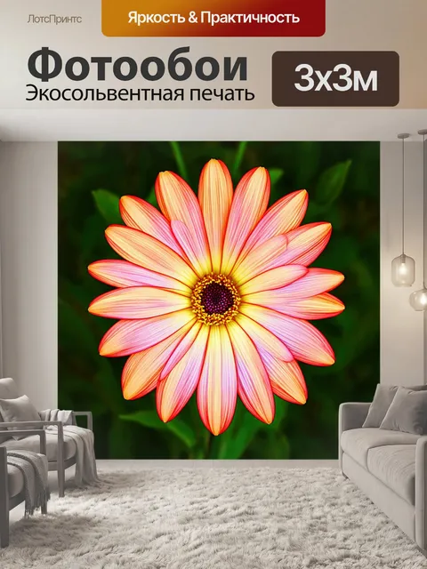 Фотообои цветы в стиле диаграммный рисунок