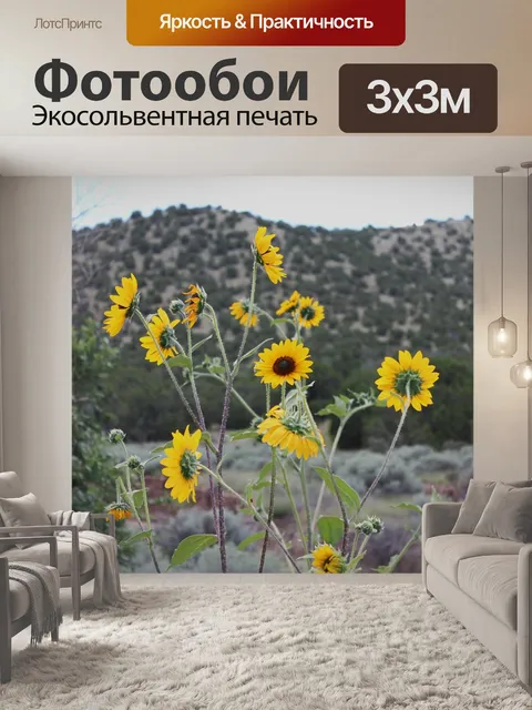 Фотообои Нью-мексико