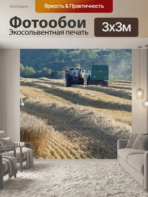 Фотообои Ферма
