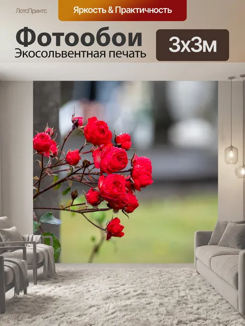Фотообои Красные розы, цветок, флора