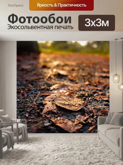 Фотообои Заход солнца