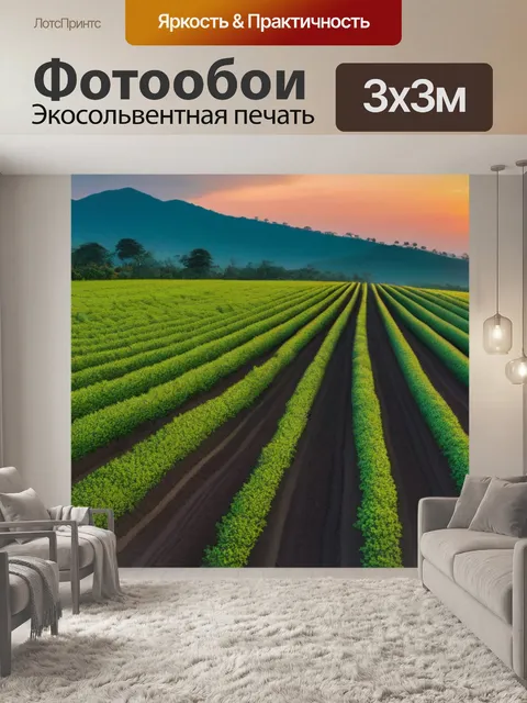 Фотообои кофейные поля на закате