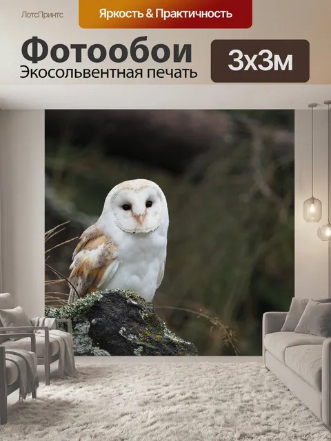 Фотообои Птица