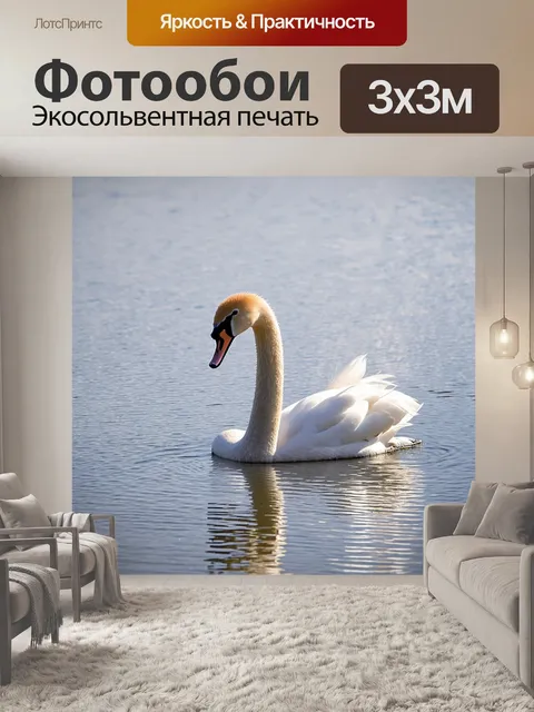 Фотообои лебедь медленно скользит по мерцающему озеру