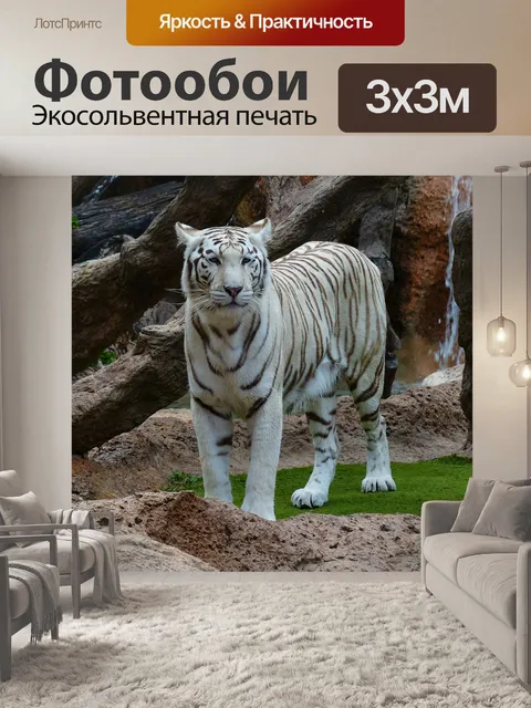 Фотообои Белый бенгальский тигр