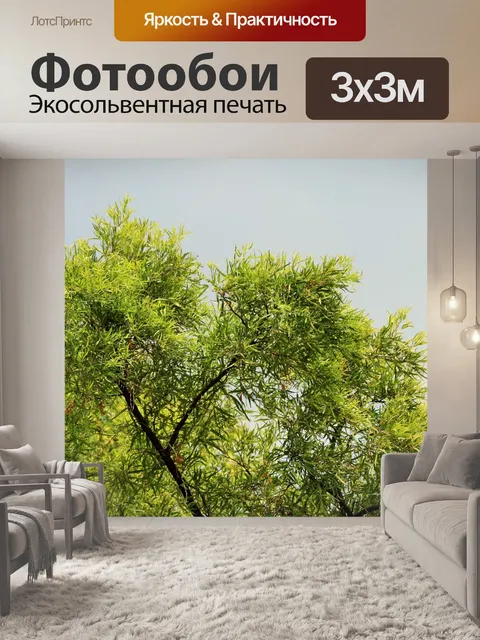 Фотообои Karee дерево против облаков