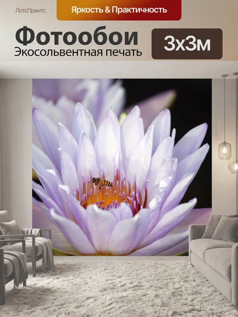 Фотообои Сиреневый цветок лотоса с пчелами