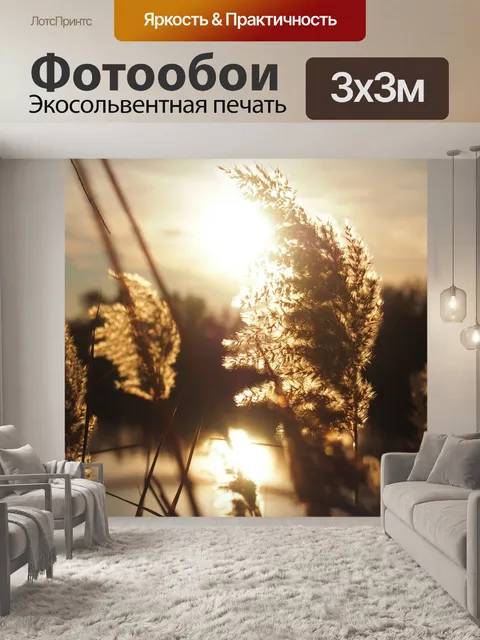 Фотообои Заход солнца
