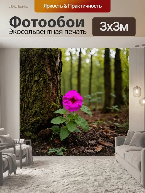 Фотообои в глубоких лесах прячется герань, которой удалось распуститься среди густой листвы