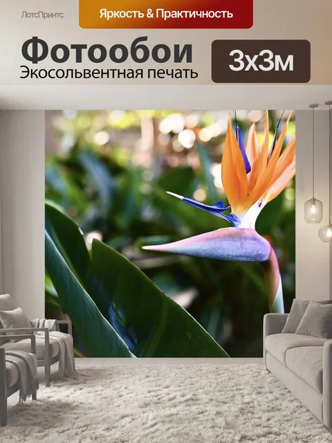 Фотообои Райская птица цветок