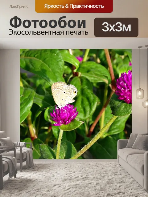 Фотообои Бабочка