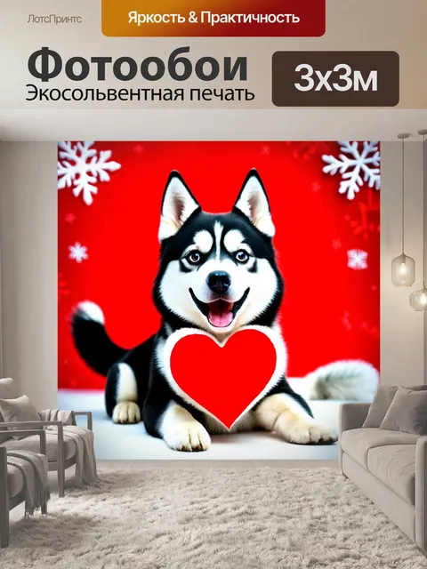 Фотообои Собака породы хаски с черно-белой шерстью, улыбающаяся, держит красное сердце в лапах
