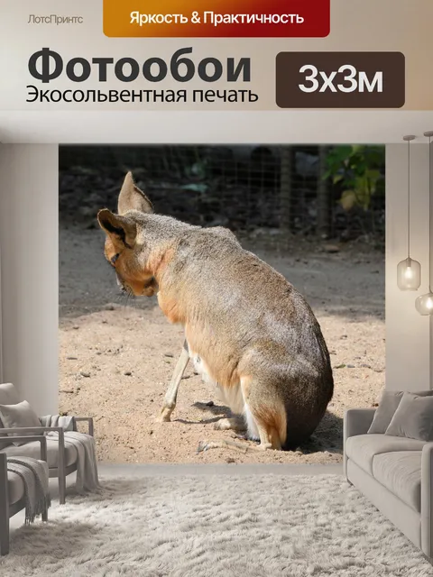 Фотообои Мара 05