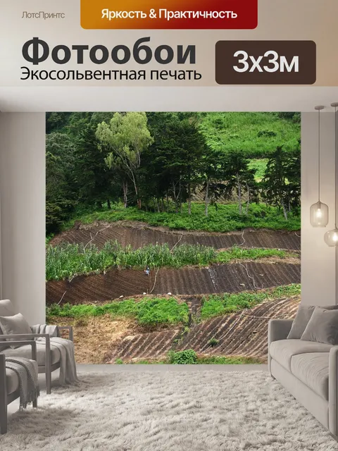 Фотообои Ферма