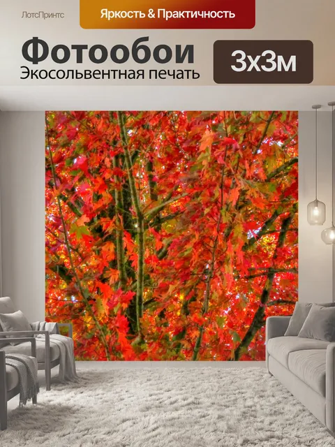Фотообои Осенняя листва
