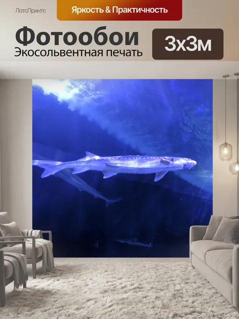 Фотообои Рыба в синем баке