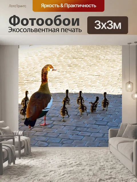 Фотообои Гуси